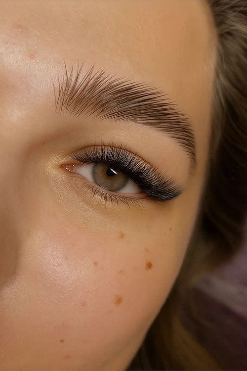 Rehaussement des Sourcils, Brow Lift, Brow Lamination, Brow, brows, lamination, Dlux Professional, Lash Lift Kit