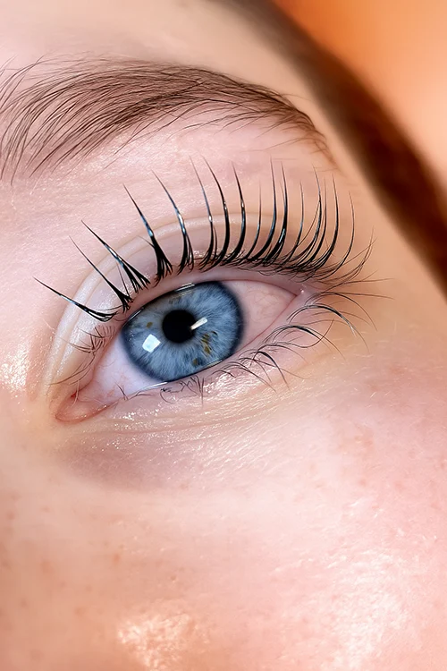 Rehaussement des Cils, Lash Lift, Lash Lamination, Rehaussement, des Cils, cils, Lash Lift Kit, Dlux Professional