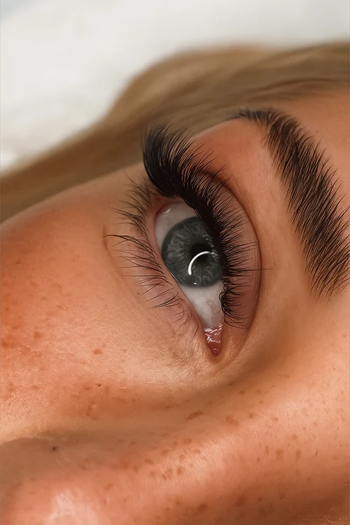 Rehaussement des Sourcils, Brow Lift, Brow Lamination, Brow, brows, lamination, Dlux Professional, Lash Lift Kit