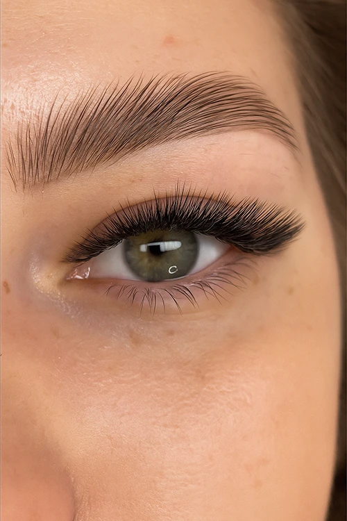 Volume Russe – Effet Tendance, Volume Russe, Lash Blossom
