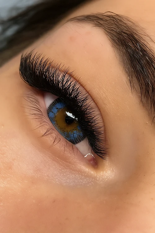 Mega Volume, Mega Volume Lashes, Lash Blossom