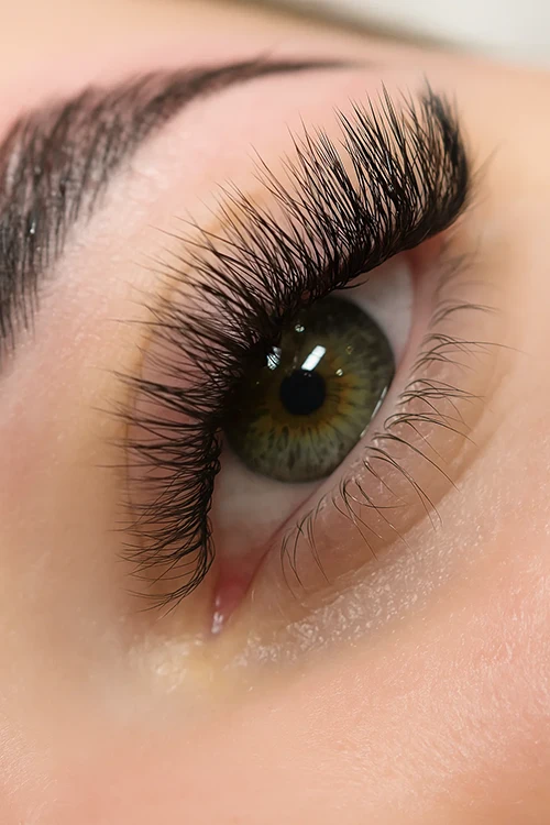 Mega Volume, Mega Volume Lashes, Lash Blossom
